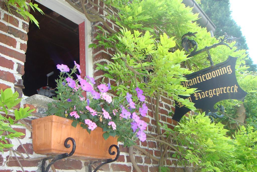 Den Haegepreeck Villa Horebeke Ngoại thất bức ảnh